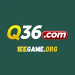 Q36 Game